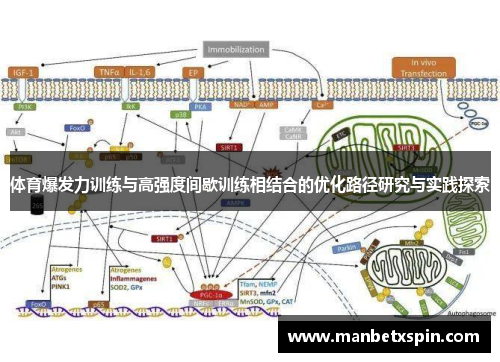 体育爆发力训练与高强度间歇训练相结合的优化路径研究与实践探索